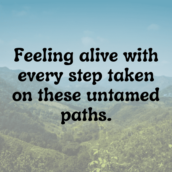 331+ Hiking Adventure Captions for Instagram (Trending, Funny & Top) 17 Hiking Adventure Captions Image for Instagram-lTQNNY