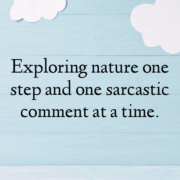 331+ Hiking Adventure Captions for Instagram (Trending, Funny & Top) 4 Hiking Adventure Captions Photo for Instagram-FQ8IMl