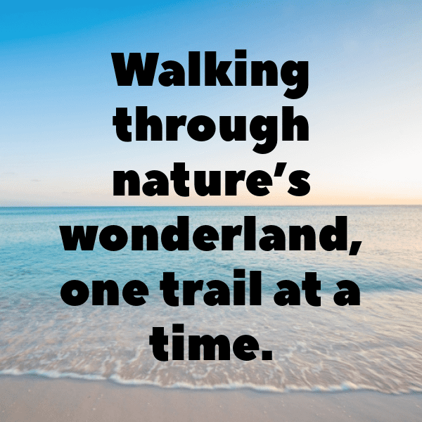 331+ Hiking Adventure Captions for Instagram (Trending, Funny & Top) 16 Hiking Adventure Captions Photo for Instagram-j37P0Y