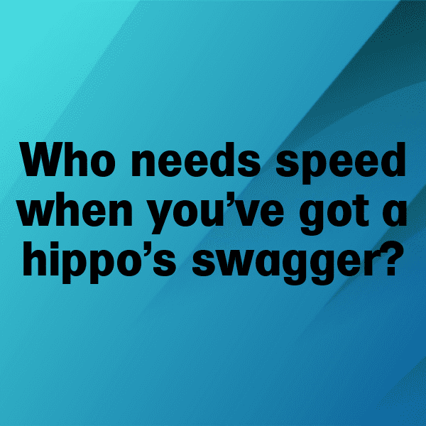 Hippopotamus Captions Photo For Instagram-8U6pAf