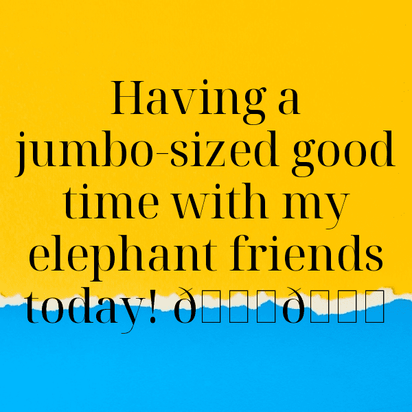 Hippopotamus Captions Photo For Instagram-OZs0NP