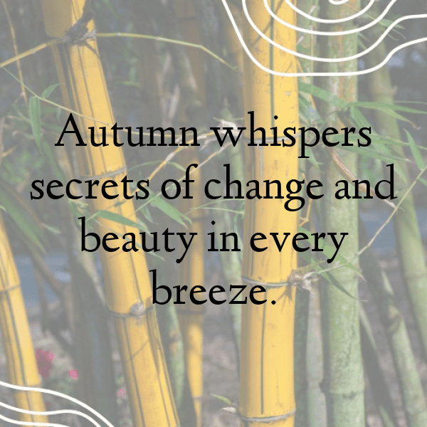 Hollyhock Captions Photo For Instagram-2UiS4R