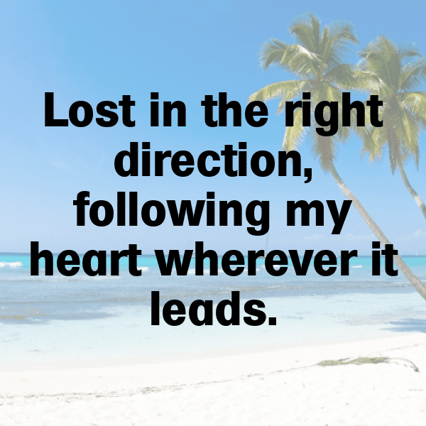 240+ Honda Civic Captions for Instagram (Best, Funny & Short) 8 Honda Civic Captions Image for Instagram-2GFrBH