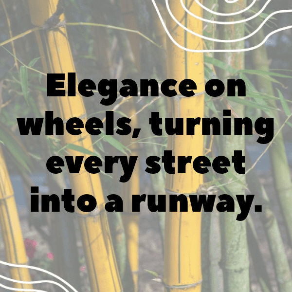 240+ Honda Civic Captions for Instagram (Best, Funny & Short) 12 Honda Civic Captions Image for Instagram-kQgawT