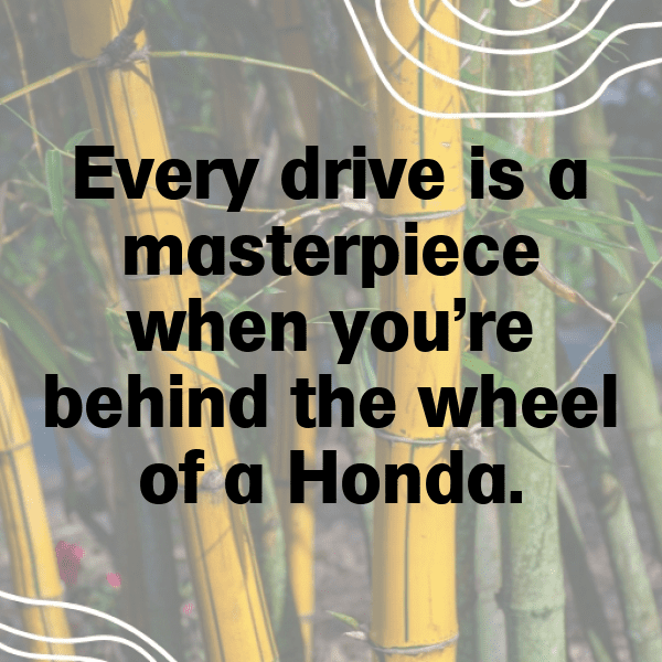 240+ Honda Civic Captions for Instagram (Best, Funny & Short) 5 Honda Civic Captions Photo for Instagram-Jla6Pm