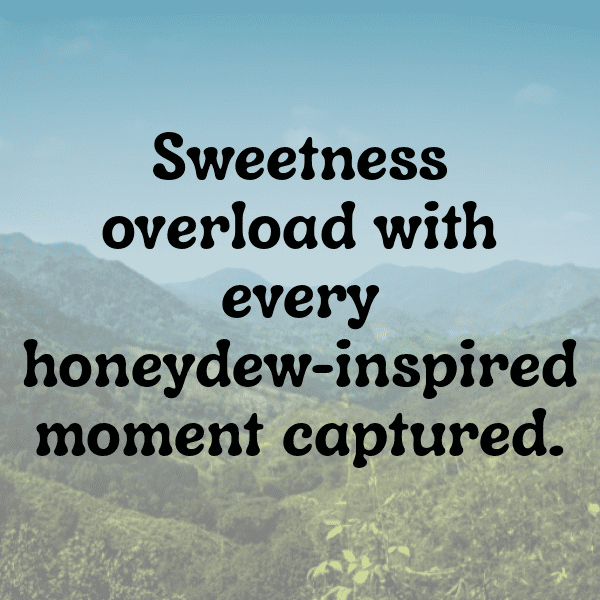 339+ Honeydew Captions For Instagram In 2025 5 Honeydew Captions Image For Instagram-BoiK9y