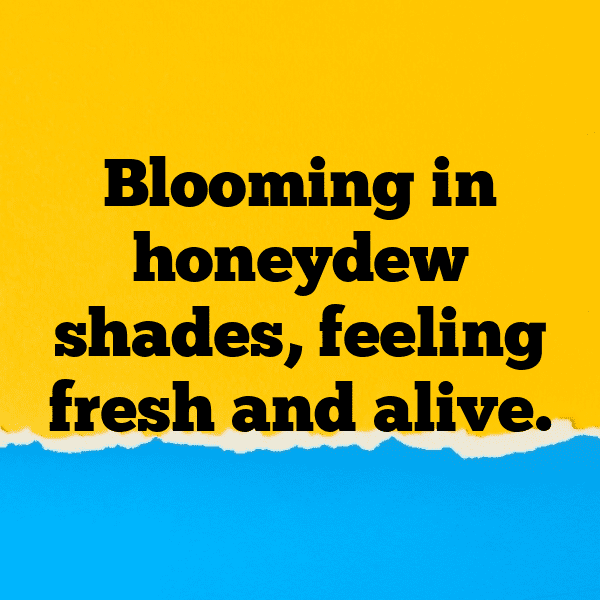 339+ Honeydew Captions For Instagram In 2025 7 Honeydew Captions Photo For Instagram-lT720d