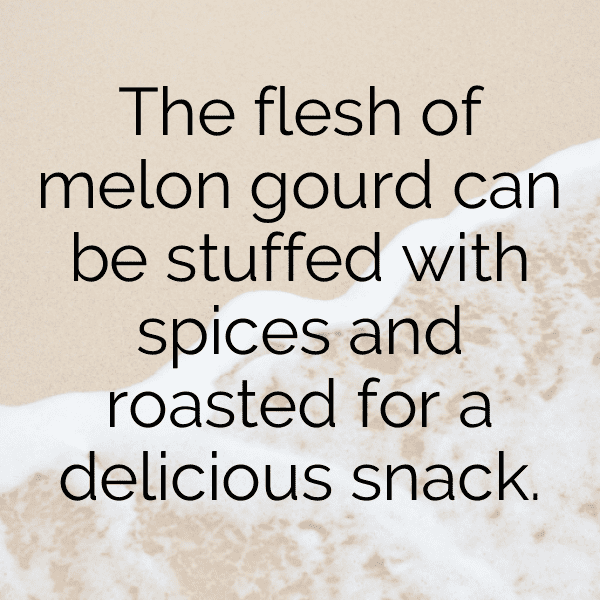 Horned Melon Captions Photo For Instagram-943uG8