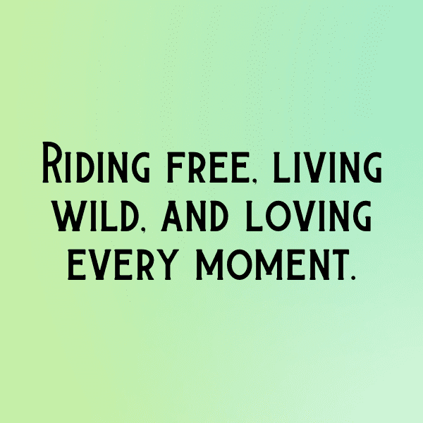 345+ Horse Captions For Instagram (Fresh & Trendy) 3 Horse Captions Image For Instagram-1znLVi