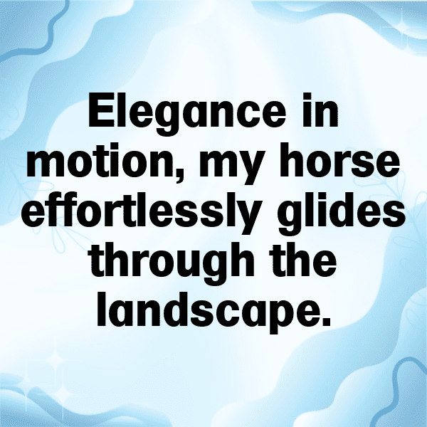 345+ Horse Captions For Instagram (Fresh & Trendy) 19 Horse Captions Image For Instagram-EzlIP1