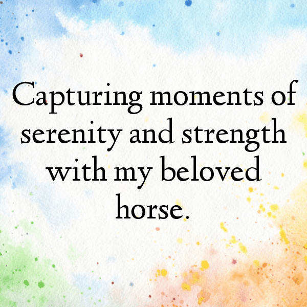 345+ Horse Captions For Instagram (Fresh & Trendy) 12 Horse Captions Image For Instagram-F3neiS