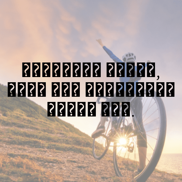 345+ Horse Captions For Instagram (Fresh & Trendy) 17 Horse Captions Image For Instagram-GpzhzD