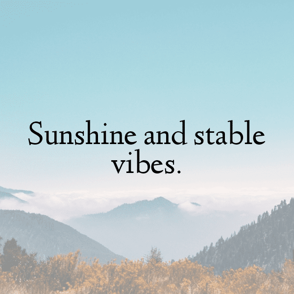 345+ Horse Captions For Instagram (Fresh & Trendy) 9 Horse Captions Image For Instagram-qSMOQc