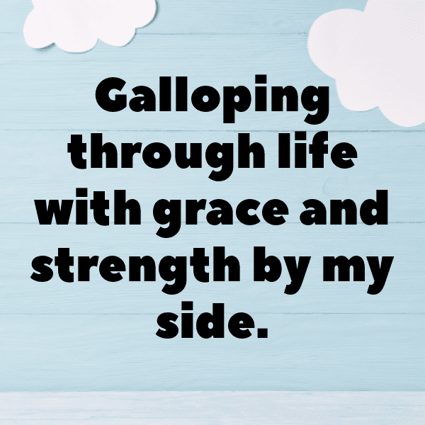 345+ Horse Captions For Instagram (Fresh & Trendy) 6 Horse Captions Photo For Instagram-B4vn4P