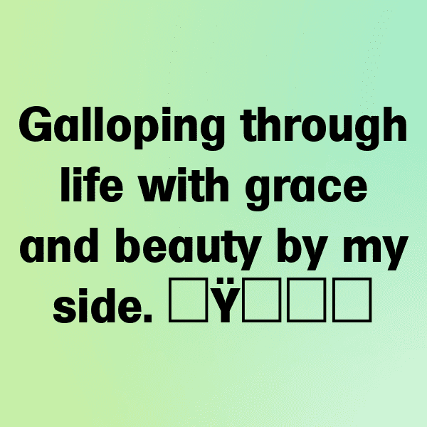 345+ Horse Captions For Instagram (Fresh & Trendy) 4 Horse Captions Photo For Instagram-k94nYg