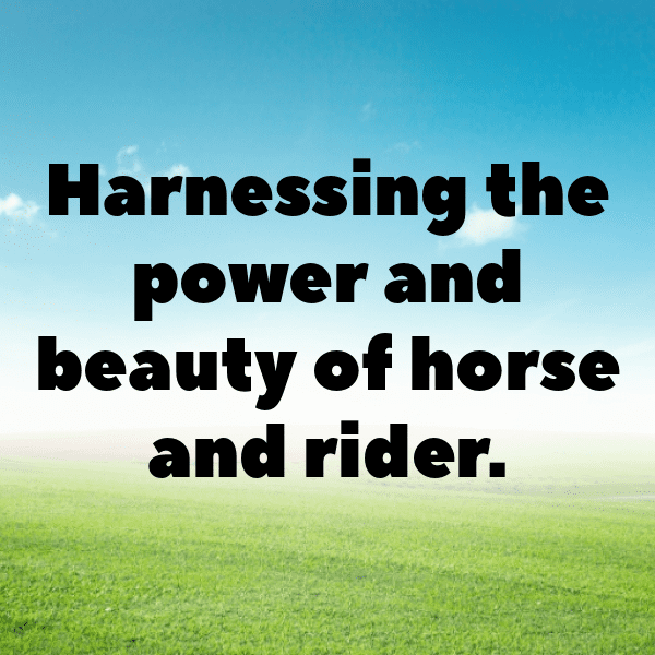 345+ Horse Captions For Instagram (Fresh & Trendy) 10 Horse Captions Photo For Instagram-skbgAI