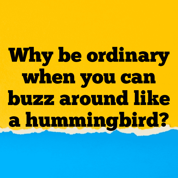 Hummingbird Captions Photo For Instagram-4ET7J0