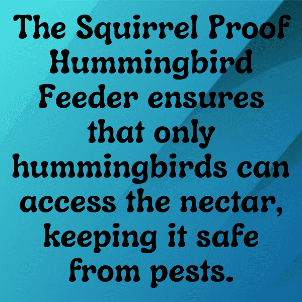 Hummingbird Captions Photo For Instagram-9vB3Ni