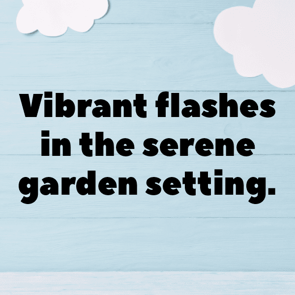 Hummingbird Captions Photo For Instagram-B5ZpeD