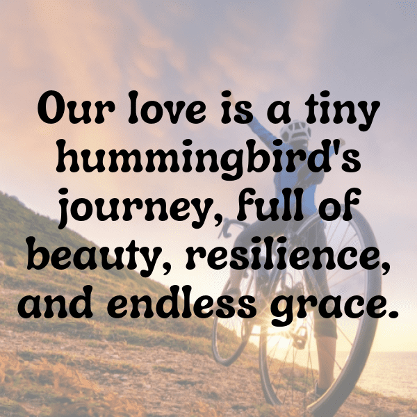 Hummingbird Captions Photo For Instagram-NYlWvl