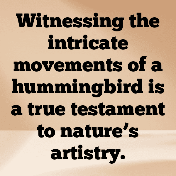 Hummingbird Captions Photo For Instagram-waSdbA