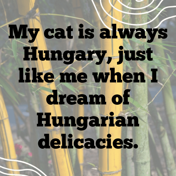 Hungary Captions Image For Instagram-angC2Y