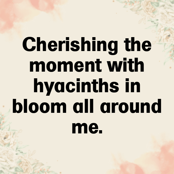 310+ Hyacinth Captions For Instagram (Best, Funny & Short) 8 Hyacinth Captions Image For Instagram-DDSBWn