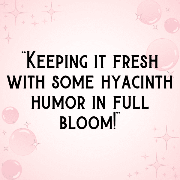 310+ Hyacinth Captions For Instagram (Best, Funny & Short) 3 Hyacinth Captions Photo For Instagram-YnYfGD
