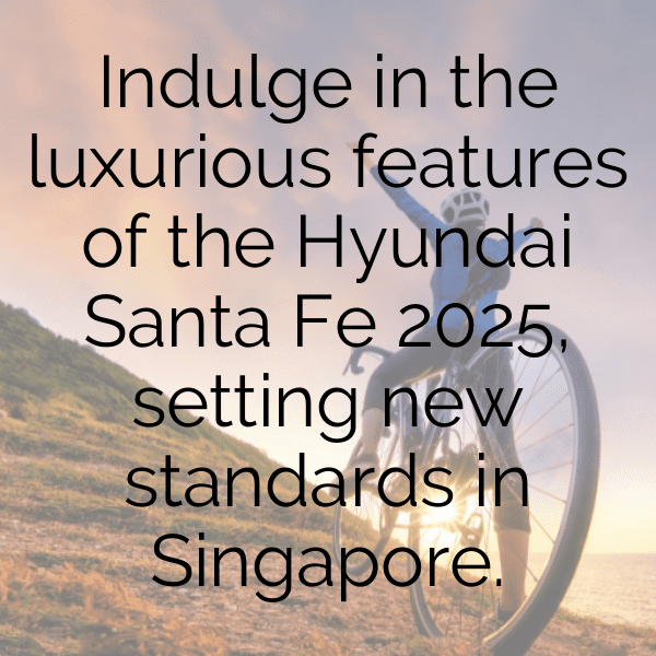 Hyundai Santa Fe Captions Photo for Instagram-LCSwiG