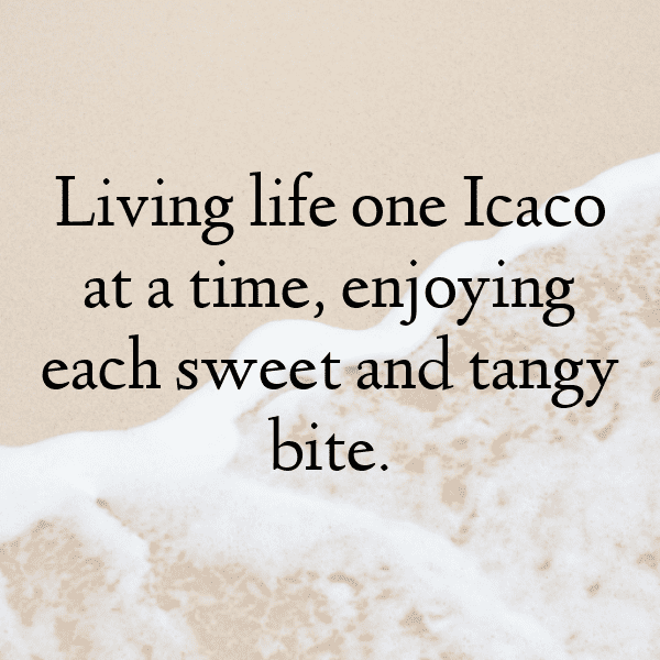 237+ Icaco Captions For Instagram (Best, Funny & Short) 5 Icaco Captions Image For Instagram-mNiKHc