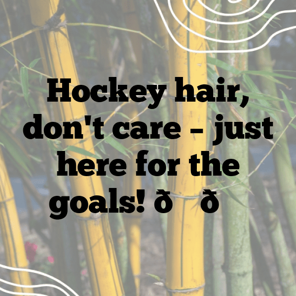 236+ Ice Hockey Captions for Instagram (Trending, Funny & Top) 4 Ice Hockey Captions Image for Instagram-WBFv9a