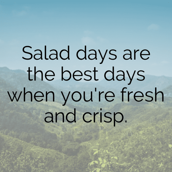 265+ Iceberg Lettuce Captions For Instagram In 2025 7 Iceberg Lettuce Captions Image For Instagram-hR6i0V