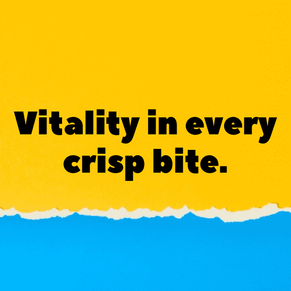 265+ Iceberg Lettuce Captions For Instagram In 2025 4 Iceberg Lettuce Captions Image For Instagram-UpGfzn