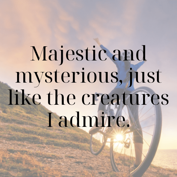 Iguana Captions Image For Instagram-MGGY9B