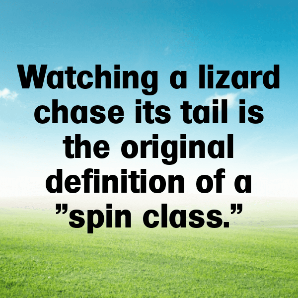 Iguana Captions Image For Instagram-X0Vh3j