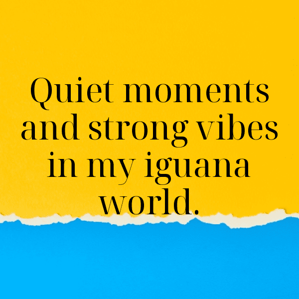 Iguana Captions Photo For Instagram-HhvqLc