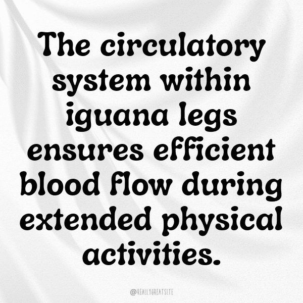 Iguana Captions Photo For Instagram-rEAMKn