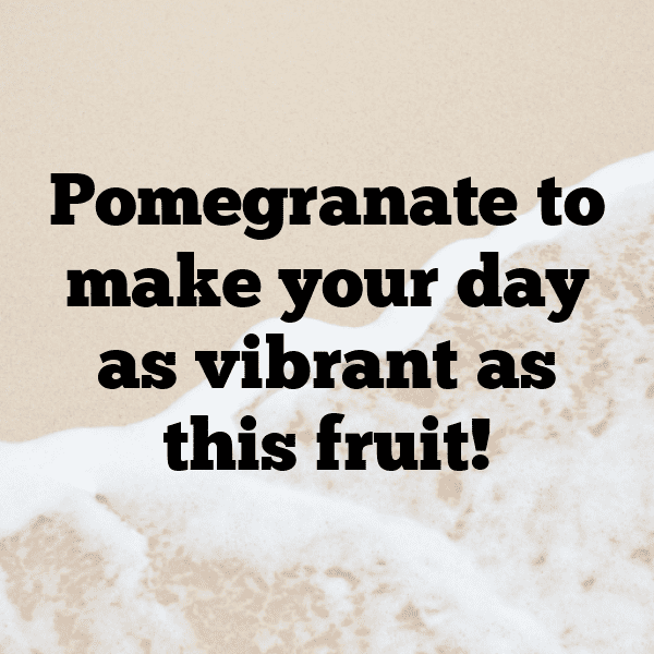 291+ Imbe Fruit Captions For Instagram (Best, Funny & Short) 13 Imbe Fruit Captions Image For Instagram-1L4Wiz