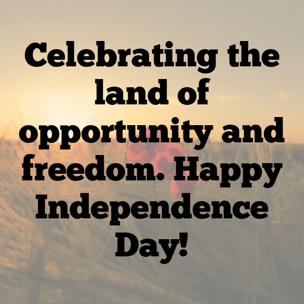 199+ Independence Day Captions for Instagram (Short, Trending & Viral) 17 Independence Day Captions Photo for Instagram-2NDfMj