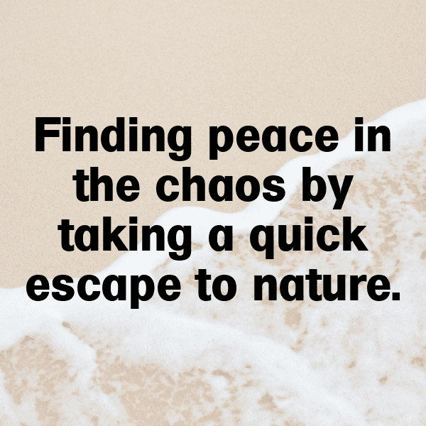 217+ Island Escape Captions for Instagram (Fresh & Trendy) 14 Island Escape Captions Photo for Instagram-9rvy4B