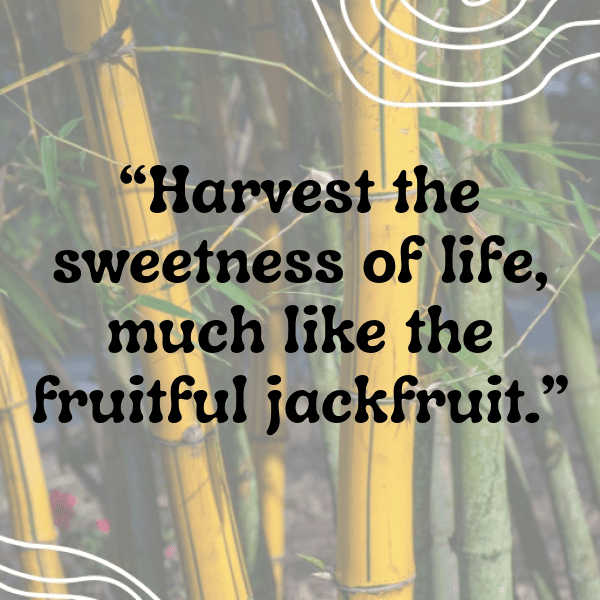 244+ Jackfruit Captions For Instagram (Short, Trending & Viral) 13 Jackfruit Captions Image For Instagram-HipCae