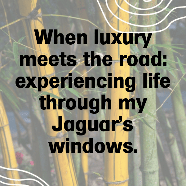 315+ Jaguar I-PACE Captions for Instagram (Trending, Funny & Top) 13 Jaguar I-PACE Captions Photo for Instagram-Tf0RPH