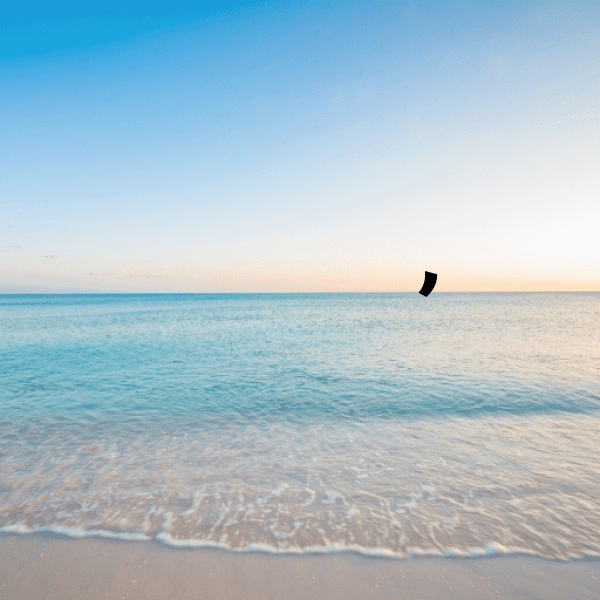 Japanese Mustard Captions Image For Instagram-x7EfC6