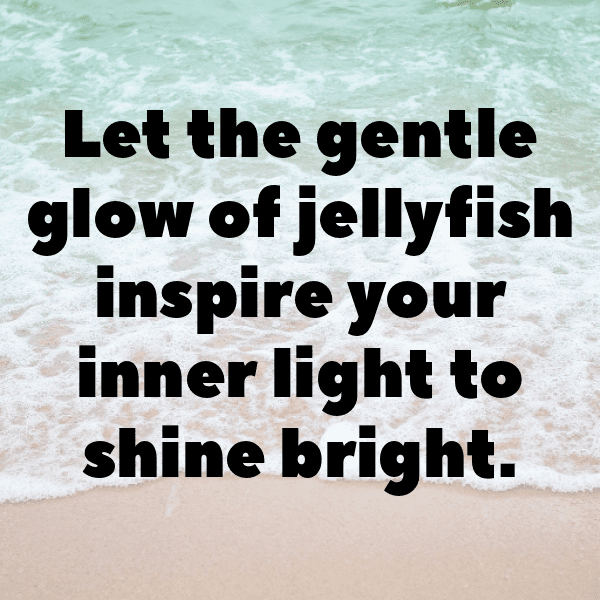 Jellyfish Captions Image For Instagram-l278Ru