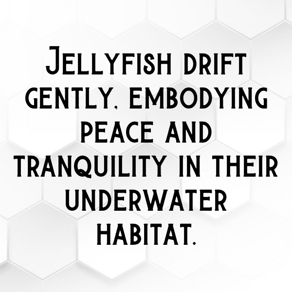 Jellyfish Captions Image For Instagram-lPapcM