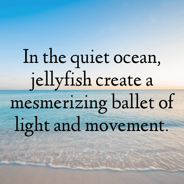 Jellyfish Captions Photo For Instagram-QlihXc