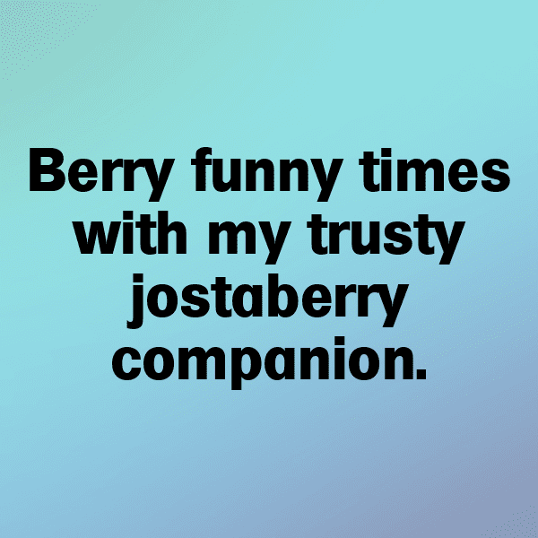 Jostaberry Captions Photo For Instagram-1VD2CP