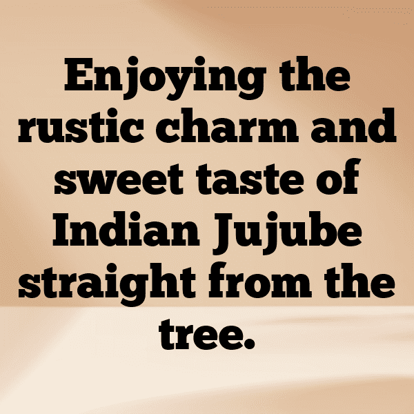 Jujube Captions Image For Instagram-1ZEncJ