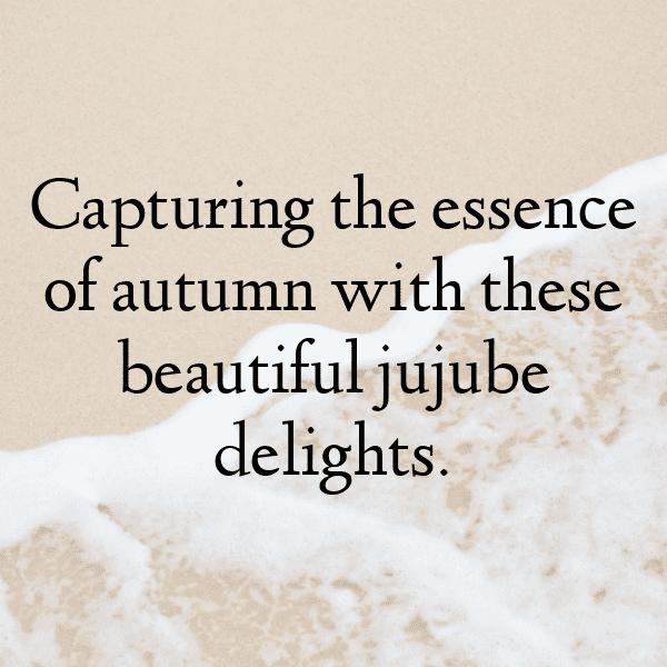 Jujube Captions Photo For Instagram-bVXB6R