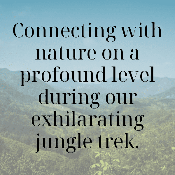 Jungle Trek Captions Photo for Instagram-0SA7Uu